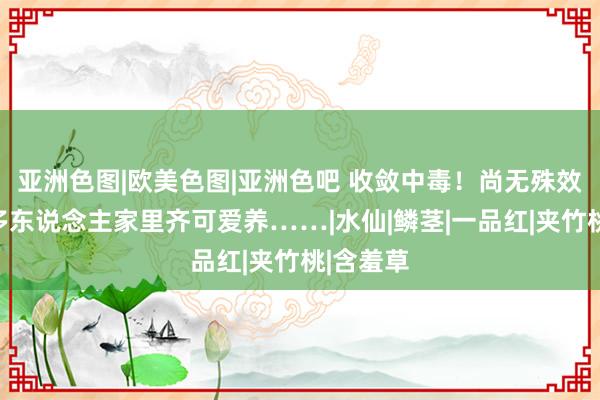 亚洲色图|欧美色图|亚洲色吧 收敛中毒！尚无殊效药！好多东说念主家里齐可爱养……|水仙|鳞茎|一品红|夹竹桃|含羞草