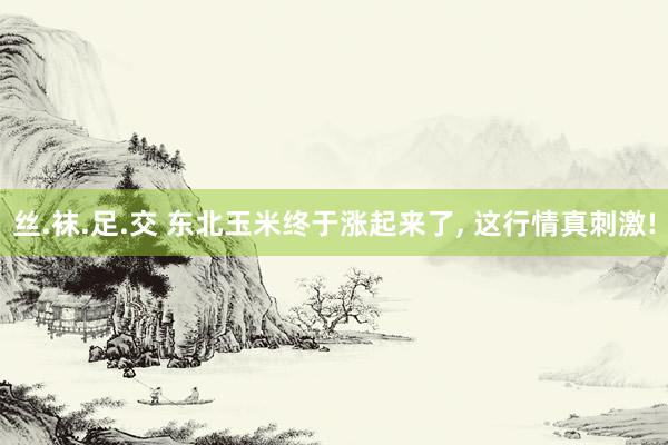 丝.袜.足.交 东北玉米终于涨起来了， 这行情真刺激!