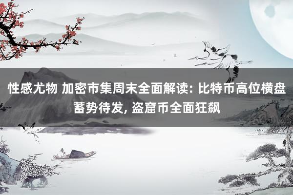 性感尤物 加密市集周末全面解读: 比特币高位横盘蓄势待发， 盗窟币全面狂飙