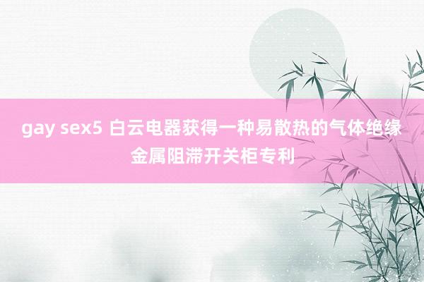 gay sex5 白云电器获得一种易散热的气体绝缘金属阻滞开关柜专利