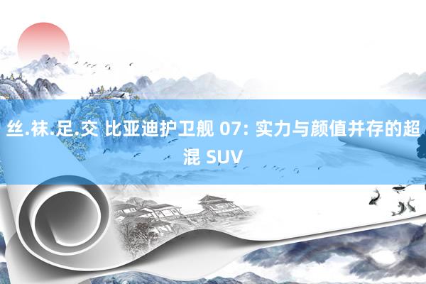 丝.袜.足.交 比亚迪护卫舰 07: 实力与颜值并存的超混 SUV