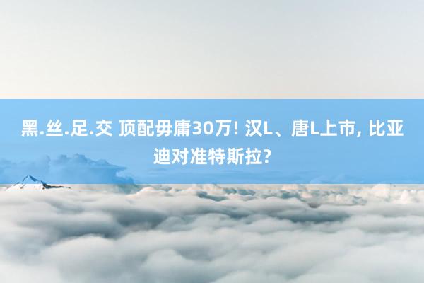 黑.丝.足.交 顶配毋庸30万! 汉L、唐L上市， 比亚迪对准特斯拉?